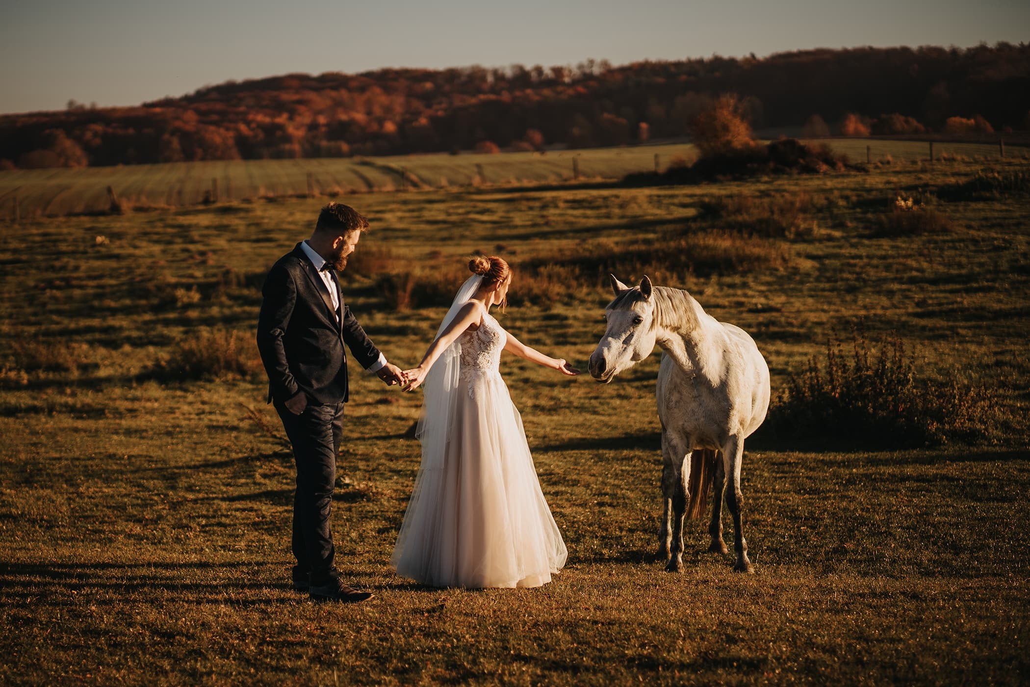 Para z koniem - reportaż ślubny